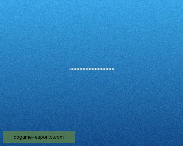 女圣骑士的荣耀与使命探索：从技能成长到战斗策略的全方位解析