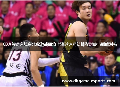 CBA首钢迎战东北虎激战即将上演球迷期待精彩对决与巅峰对抗